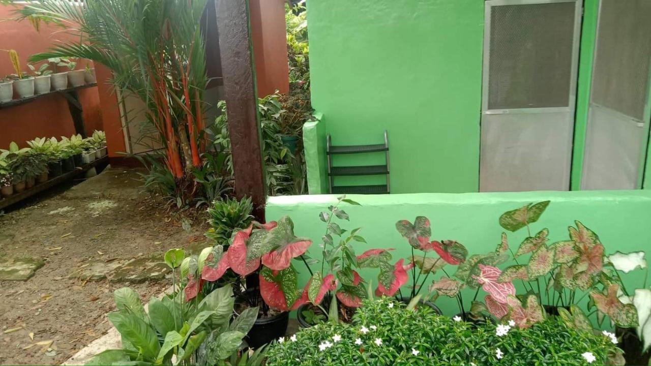 Charity Pension House San Vicente  Exteriör bild