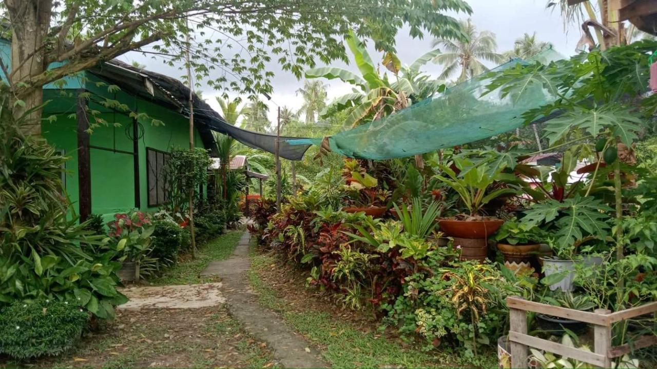 Charity Pension House San Vicente  Exteriör bild